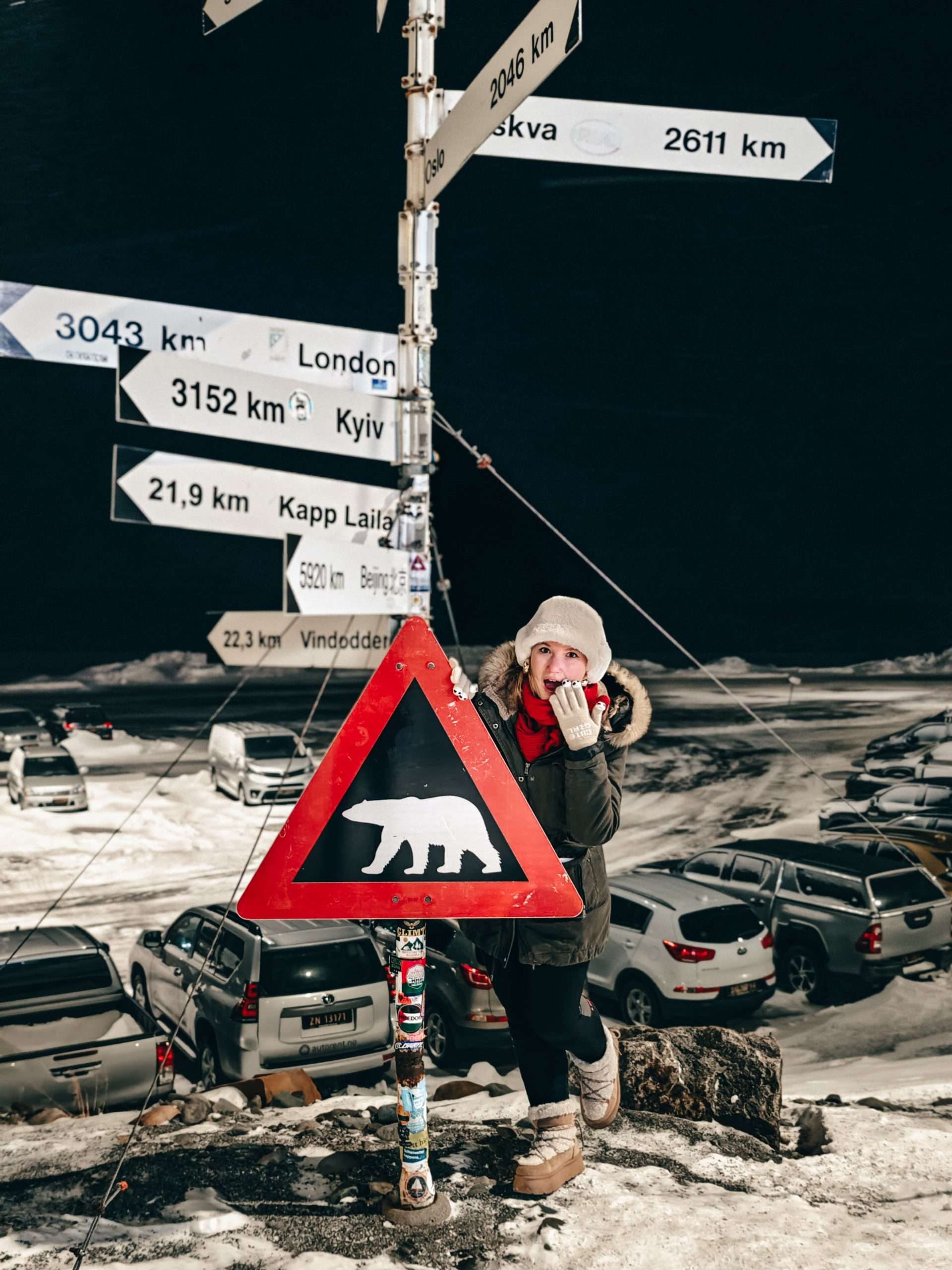 Svalbard in inverno-cartello